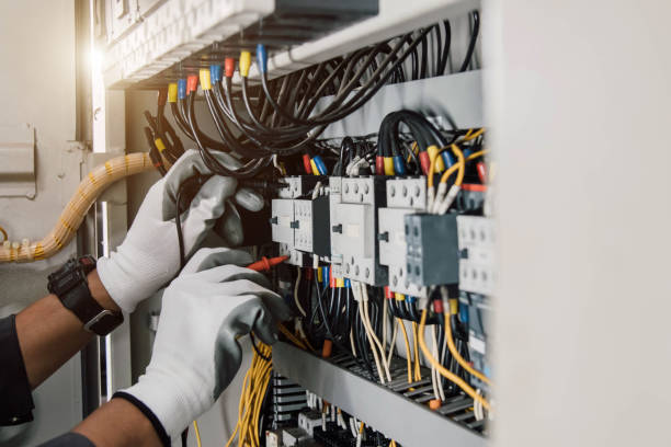 Best Electric Panel Repair  in Northeast Ithaca, NY